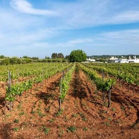 Willa Trulli Beauty Lamia Martina Franca Zewnętrze zdjęcie